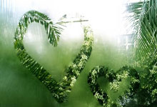 集结日印第安纳步行者备战欧冠，回应争议细节曝光，质疑声仍在，控场能力受关注的简单介绍